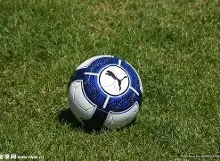 巴西,选手临战新,冠检测呈阳,米兰体育官网,APP下载,注册领彩金,官方网站,网站入口