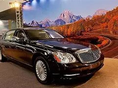 约基奇文班,独树一帜,其他千万级,米兰体育官网,APP下载,注册领彩金,官方网站,网站入口