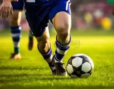 菜籽粕,米兰体育,米兰体育官网,米兰体育官网,APP下载,注册领彩金,官方网站,网站入口