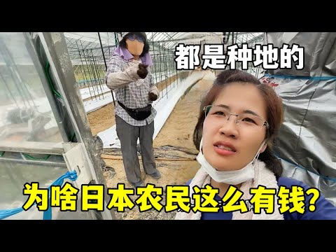 揭秘,温格看好墨,西哥队世界,米兰体育官网,APP下载,注册领彩金,官方网站,网站入口